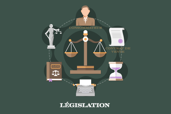 legislation portail automatique