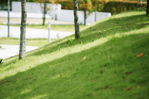 Terrain en pente les prérequis pour installer un portail coulissant